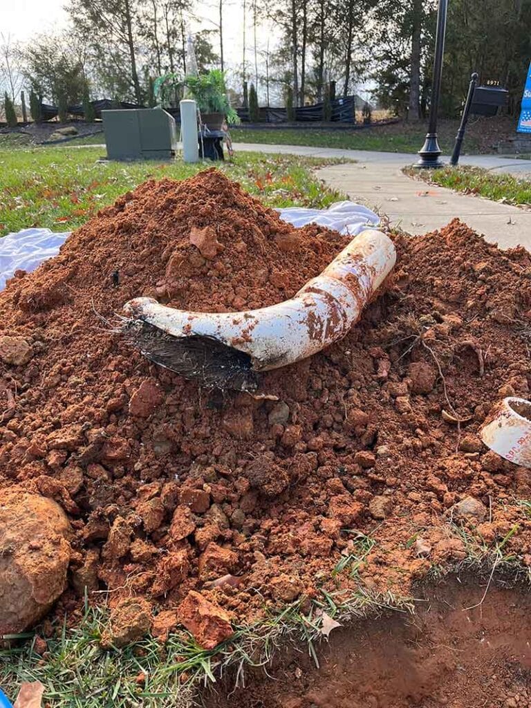 Roots growing in a pipe